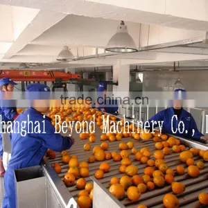200 Tons per Day Automatic Orange Citrus Processing Line Fruit Juice Production Line thumbnail-2