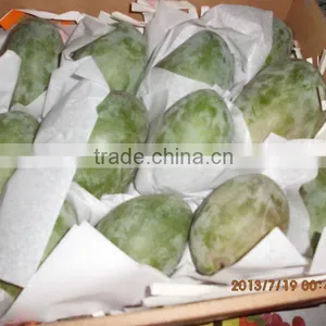 Mango thumbnail-1
