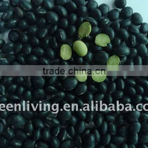 New Crop Black Bean(best Quality and Price) thumbnail-1
