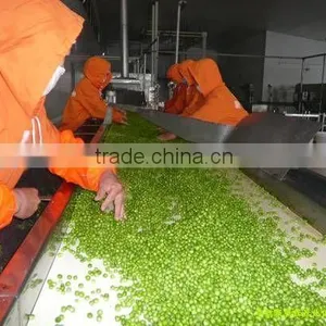 IQF Green Pea thumbnail-6
