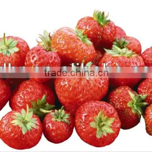 Frozen Strawberry thumbnail-2