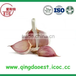 2016 High Quality Fresh White Garlic From China thumbnail-3