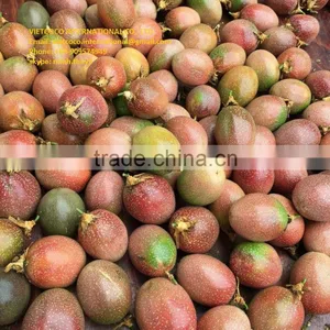 Fresh/frozen Passion Fruit thumbnail-3