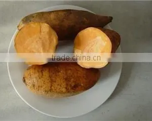 Sweet Potato thumbnail-1