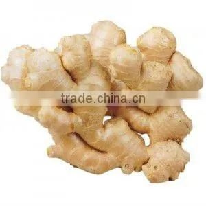 Air Dty Ginger thumbnail-1