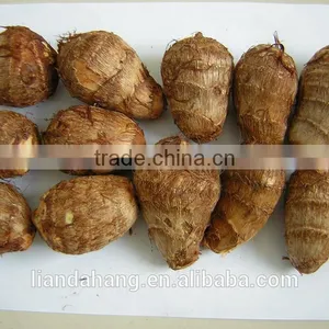 Certified GAP Chinese Frozen Taro & Eddo Root Plant thumbnail-5