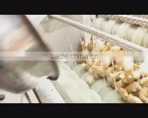MIC Hot Sale MSTP-80 Potato Peeling Machine Fish Skin Peeler Machine thumbnail-4