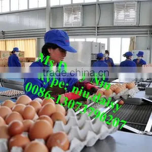 Automatic Egg Packing Machine/egg Tray Packaging Machine/egg Grading Machine for Packing thumbnail-6