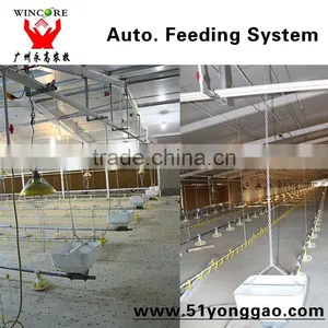 Poultry Equipment in Animal Feeder thumbnail-3