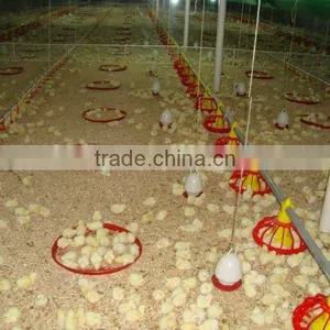 Auger Feeding and Nipple Drinking Equipment for Ground Chicken thumbnail-2