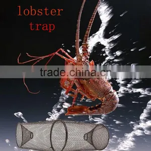 Quality Crayfish and Small Lobster Trap With Wire Mesh thumbnail-1