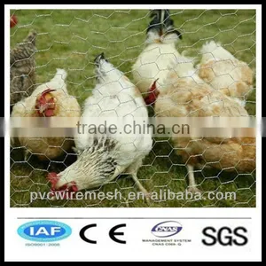 China Wholesale CE&ISO Certificated Hexagonal Decorative Chicken Wire Mesh(pro Manufacturer) thumbnail-1