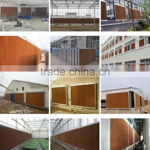 Evaporative Cooling Pad for Poultry Farm Houses thumbnail-5