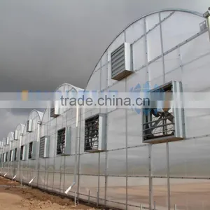 Cheap Greenhouse Plastic thumbnail-1