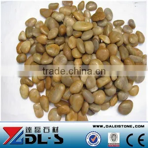 Yellow Polished Pebble Stone For Garden Decoration And Landscaping thumbnail-1