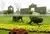 SJ010808 High Quality Evergreen Artificial Cartoon Topiary Animal Grass Animal Sculpture thumbnail-4