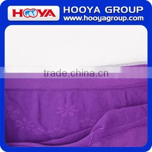 Woman Panties Sexy Ladies Panties Sex Lady Sexy Nylon Panties thumbnail-3