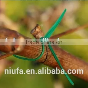 Good Quality Metal Wire Twist Tie Wire for Grape Vines thumbnail-2