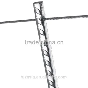 China Galvanized Tomato Growing Spiral Factry thumbnail-3