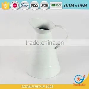 Flower Galvanized Powder Coating Bottle Watering Jug for Plants Decorative Water Jugs thumbnail-2