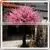 2015 Wholesale Decorative Artificial Fake Wedding Blossom Tree Cheap Silk Plastic Cherry Blossom Tree Life Size Trees and Plants thumbnail-4