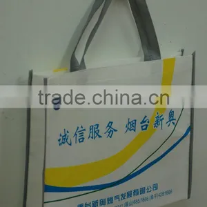 Laminated PP Woven Shopping Bag thumbnail-1