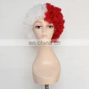 Switzerland Afro Kinky Fan Wig FGW-0026 thumbnail-1