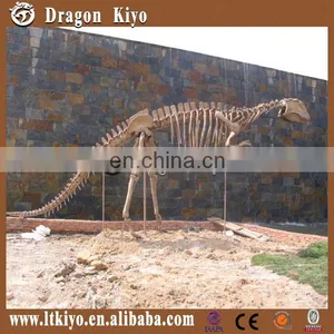2015 Life Size Dinosaur Park Equipment Dinosaur Skeleton thumbnail-3