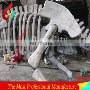 Indoor Display Fiberglass Life Size Dinosaur Skeleton thumbnail-2