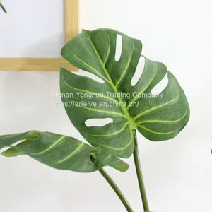 High Quality Artificial Plant Photography Props Real Touch Latex Turtle Leaf thumbnail-4