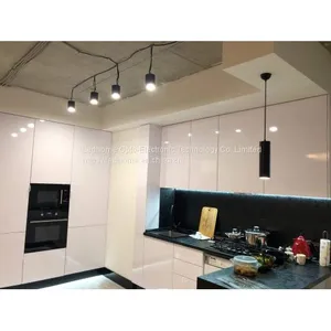 7W 10W 15W Hanging Mounted COB LED Spot Downlight thumbnail-4