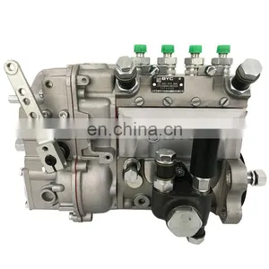 F4L912-D Engine Injection Pump 40KW With BYC No. 10 400 874 060 10400874060 thumbnail-1