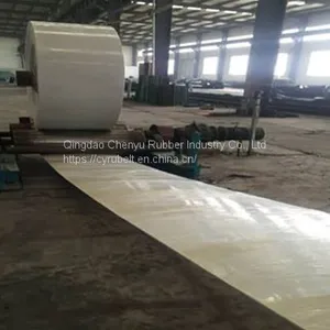 Food Grade White Conveyor Belt thumbnail-4
