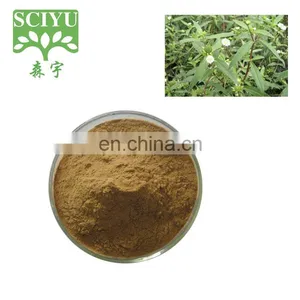 Whole Herb Eclipta Alba Extract, Ratio Extract 4:1, 10:1 thumbnail-1