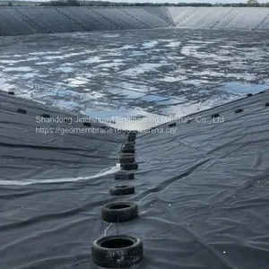 2.0mm Thick HDPE Geomembrane for Mud Lagoon Anti-seepage Engineering thumbnail-1