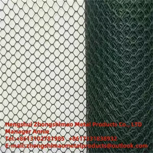 Hexagonal Wire Mesh/chicken Wire Mesh/protecting Wire Mesh/PVC Protective Layer/ Wire Mesh thumbnail-5