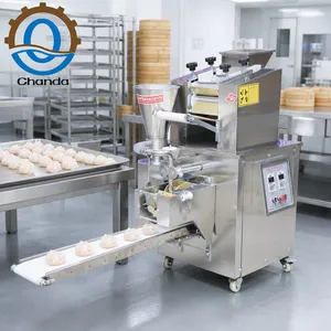High Capacity QD-LS220 Dumpling Maker 10000pcs/h Automatic Gyoza Machine for Canteen School and Food Factory thumbnail-1