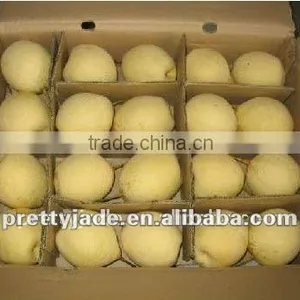 New Chinese ya Pear thumbnail-1