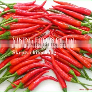 SMALL CHILI HIGH QUALITY FROM VIETNAM thumbnail-1