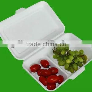 Disposable Compostable Take Away Box With Two Compartment thumbnail-1
