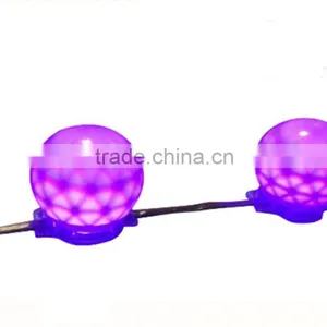 2016 Hotsale DC12V RGB SMD5050 50*50mm RGB Led Module P220 Pixel LED Point Light Sources Waterproof IP67 thumbnail-1