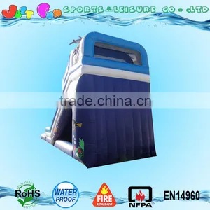 Commercial Grade Dolphin Water Slide With Pool, Big Water Slides for Sale thumbnail-3