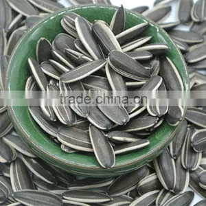 Chinese Black Sunflower Seeds Type 5009 , Hot Sale!! thumbnail-2
