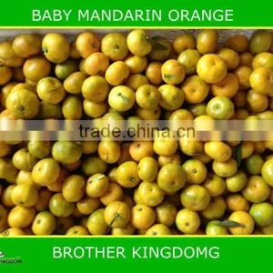 2013 New Crop Fresh Baby Mandarin From BROTHER KINGDOM thumbnail-1