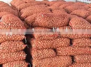 Dried Onion Flakes thumbnail-1