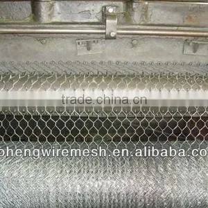 HIGH QUALITY POULTRY HEXAGONAL WIRE MESH thumbnail-1
