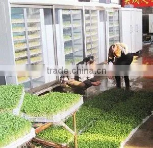 Hydroponics Animal Fodder Machine Animal Fodder Making Machine , Bean Sprout Machine , Barley Sprout Machine thumbnail-1