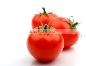 Bef Tomato thumbnail-5