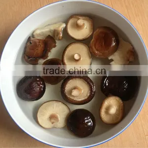 Mushroom GRADE A ( CAP 2-4 CM ) thumbnail-1