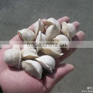 Electric Mini Dumpling Machine /automatic Electric Mini Dumpling Machine thumbnail-5